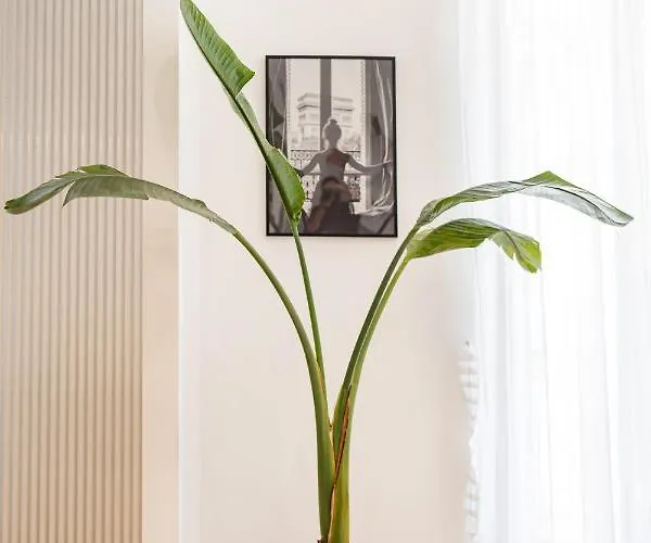 Terrazza San Ferdinando, Lejlighed Napoli