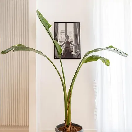 Terrazza San Ferdinando, Apartment Naples